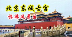 自拍美女嘘嘘视频中国北京-东城古宫旅游风景区